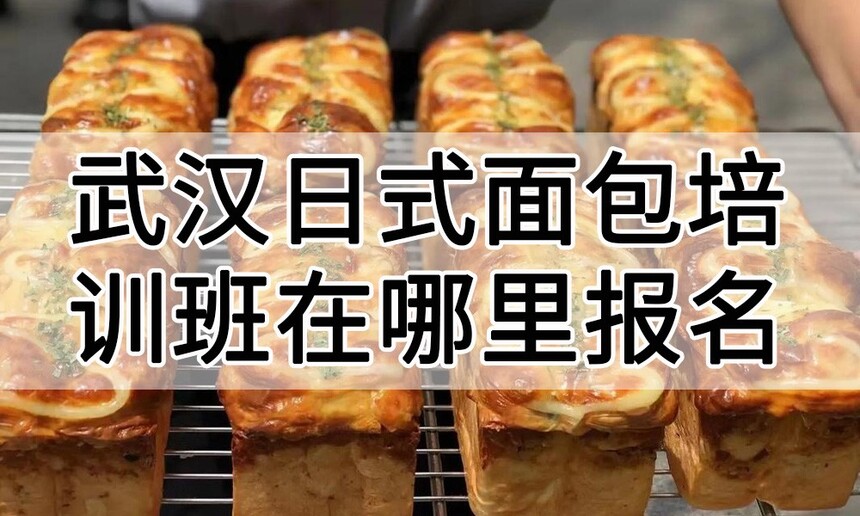 人ʽѵﱨѧϰ 人ʽѵѧУѧѶǮ
