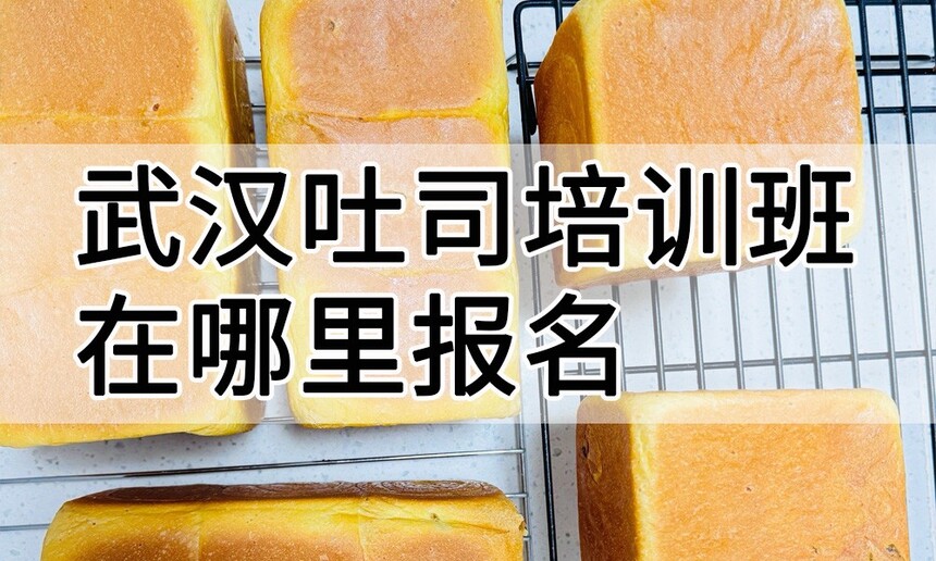 人˾ѵﱨѧϰ 人˾ѵѧУѧѶǮ