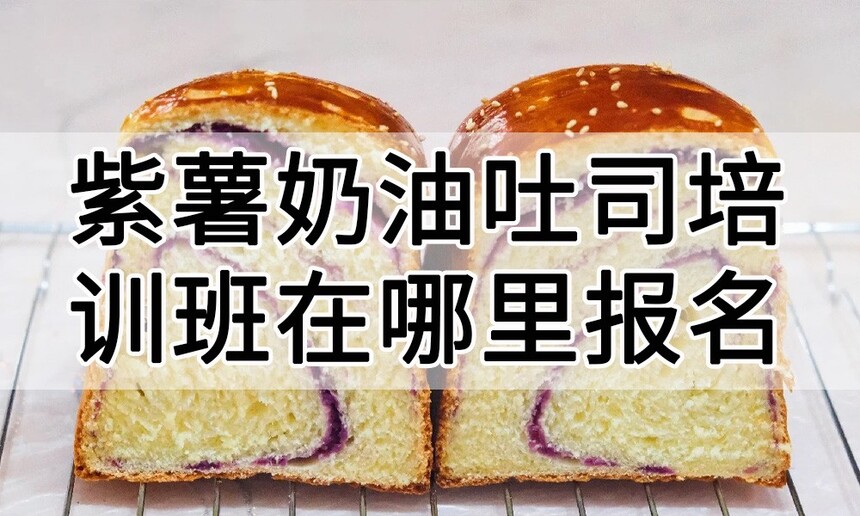 人˾ѵﱨѧϰ 人˾ѵѧУѧѶǮ