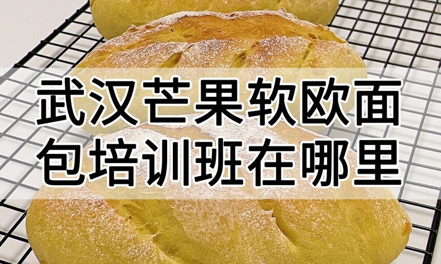人âŷѵﱨѧϰ 人âŷѵѧУѧѶǮ