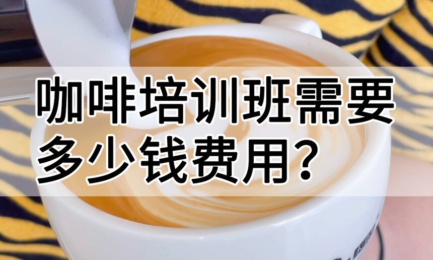 ѧͽһѧ(ѵҪǮ)