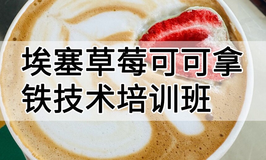 ݰݮɿѵ ݰݮɿѵļҺ