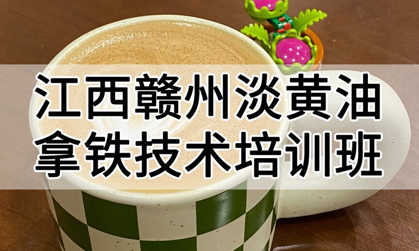 ݵѵ ݵѵļҺ