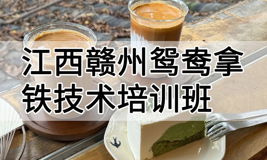 ԧѵ ԧѵļҺ