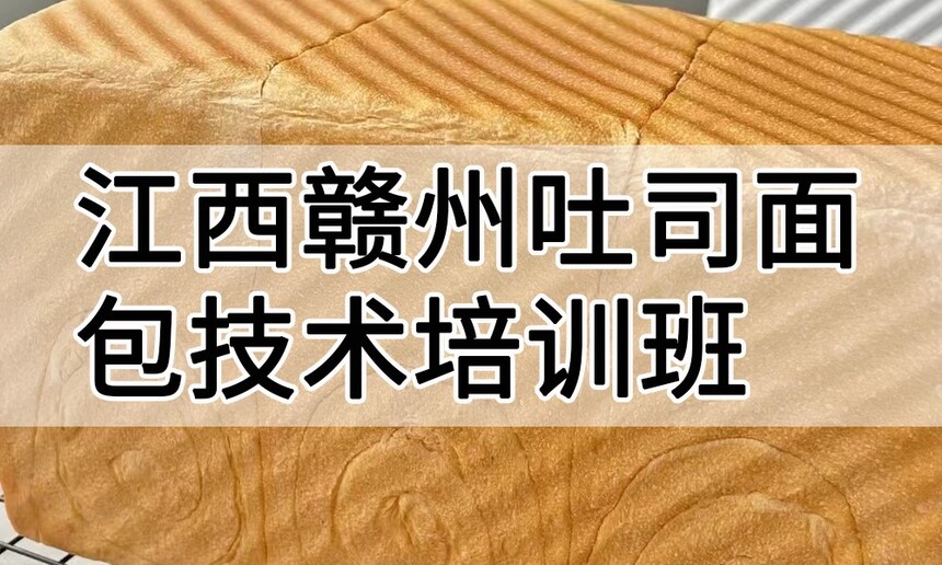 ˾ѵ ˾ѵļҺ