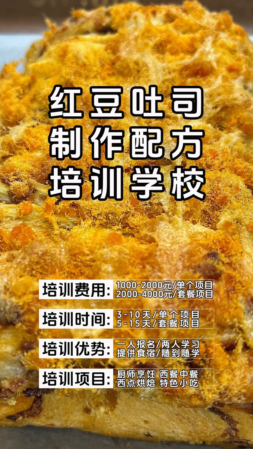 춹˾決ѵ(춹˾ѵѧУѧѶǮ)