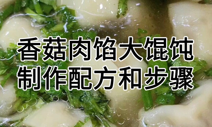 香菇肉馅大馄饨制作配方 香菇肉馅大馄饨制作步骤 香菇肉馅大馄饨制作方法 香菇肉馅大馄饨制作配方 香菇肉馅大馄饨制作步骤 香菇肉馅大馄饨制作方法