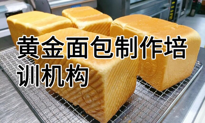 黄金面包制作培训机构(黄金面包技术培训哪里好) 黄金面包制作培训机构(黄金面包技术培训哪里好)