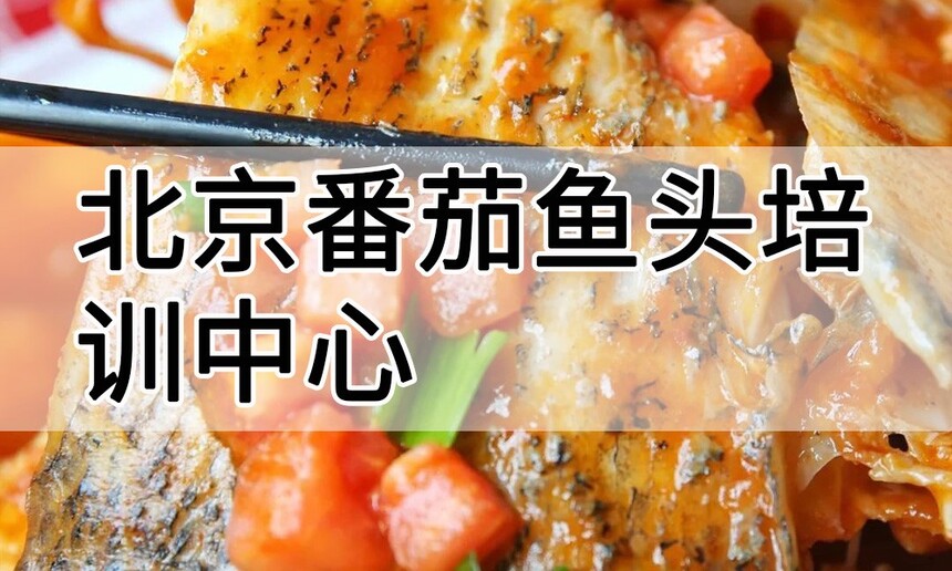 ͷѵ ͷѵ ͷѵѧѶǮ