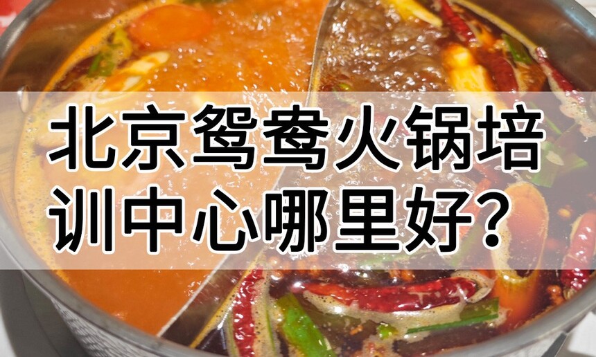 北京鸳鸯火锅培训中心 北京鸳鸯火锅培训哪里好 北京鸳鸯火锅培训学费多少钱 北京鸳鸯火锅培训中心 北京鸳鸯火锅培训哪里好 北京鸳鸯火锅培训学费多少钱