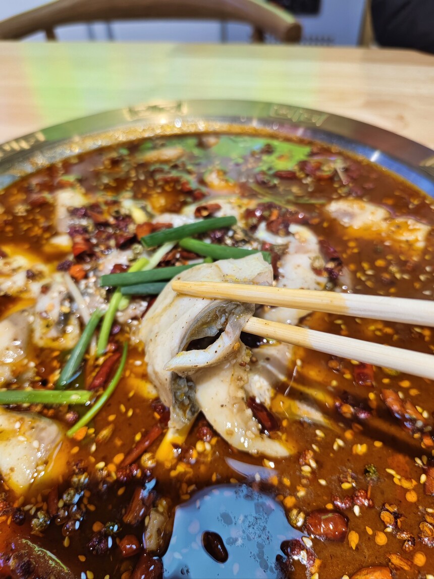 北京冷锅鱼培训中心 北京冷锅鱼培训哪里好 北京冷锅鱼培训学费多少钱 北京冷锅鱼培训中心 北京冷锅鱼培训哪里好 北京冷锅鱼培训学费多少钱