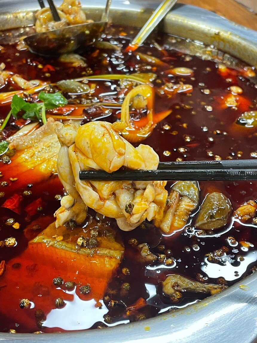 北京冷锅鱼培训中心 北京冷锅鱼培训哪里好 北京冷锅鱼培训学费多少钱 北京冷锅鱼培训中心 北京冷锅鱼培训哪里好 北京冷锅鱼培训学费多少钱