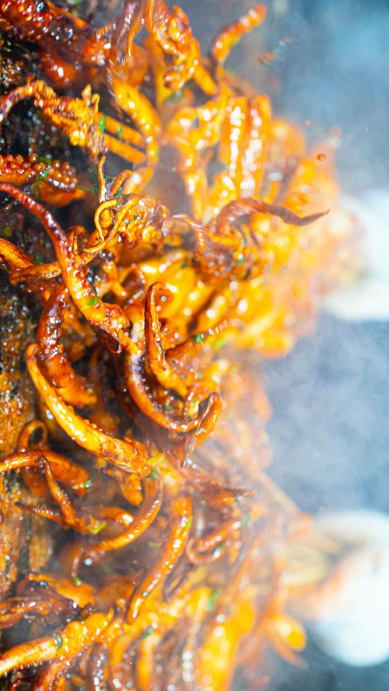 北京铁板鱿鱼培训中心 北京铁板鱿鱼培训哪里好 北京铁板鱿鱼培训学费多少钱 北京铁板鱿鱼培训中心 北京铁板鱿鱼培训哪里好 北京铁板鱿鱼培训学费多少钱