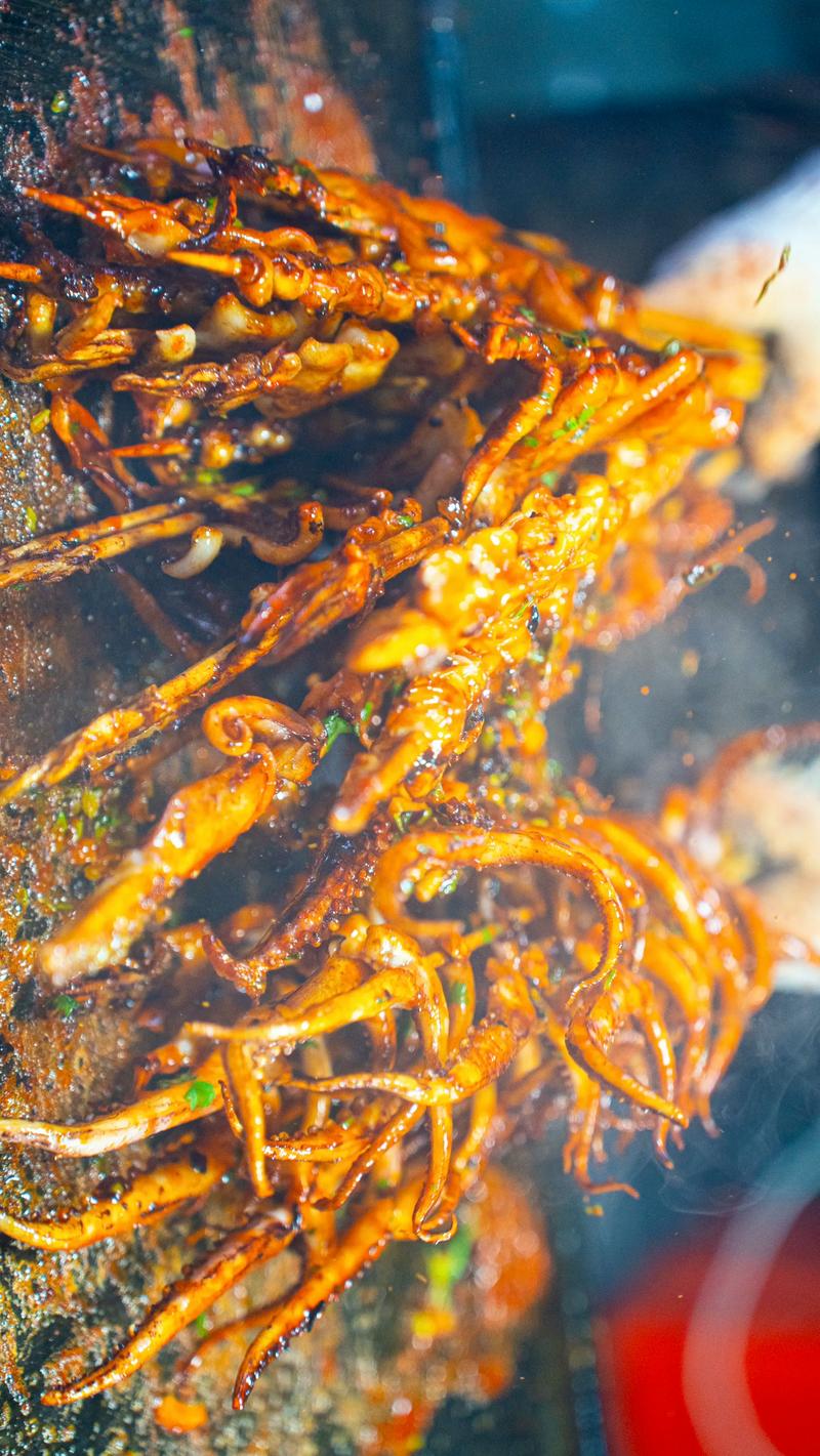 北京铁板鱿鱼培训中心 北京铁板鱿鱼培训哪里好 北京铁板鱿鱼培训学费多少钱 北京铁板鱿鱼培训中心 北京铁板鱿鱼培训哪里好 北京铁板鱿鱼培训学费多少钱