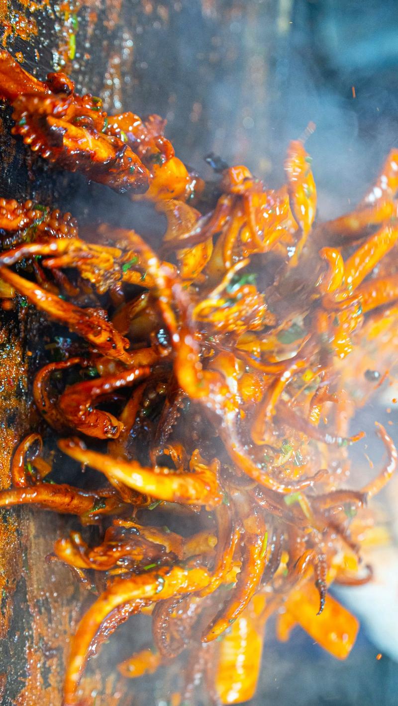 北京铁板鱿鱼培训中心 北京铁板鱿鱼培训哪里好 北京铁板鱿鱼培训学费多少钱 北京铁板鱿鱼培训中心 北京铁板鱿鱼培训哪里好 北京铁板鱿鱼培训学费多少钱