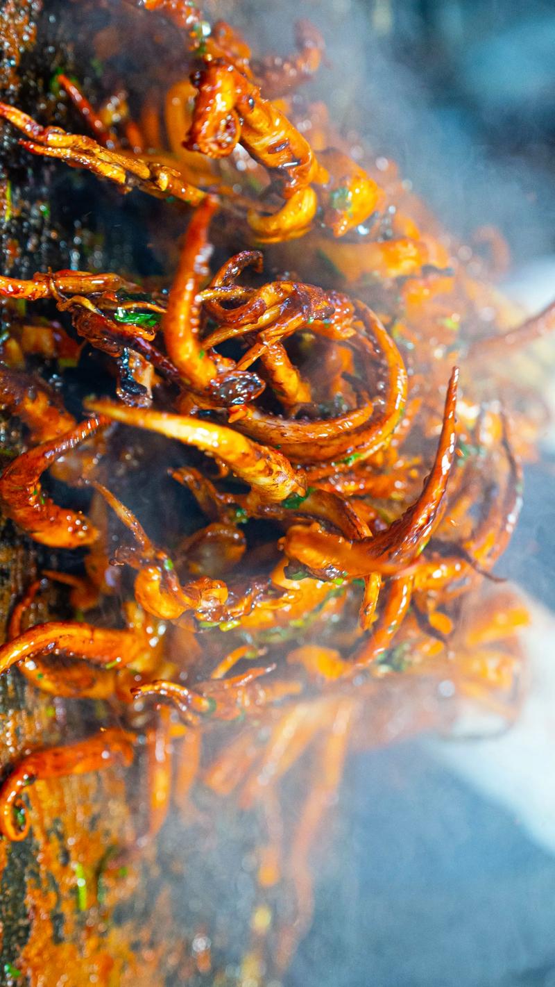 北京铁板鱿鱼培训中心 北京铁板鱿鱼培训哪里好 北京铁板鱿鱼培训学费多少钱 北京铁板鱿鱼培训中心 北京铁板鱿鱼培训哪里好 北京铁板鱿鱼培训学费多少钱