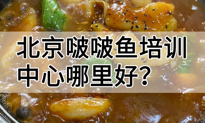 北京啵啵鱼培训中心 北京啵啵鱼培训哪里好 北京啵啵鱼培训学费多少钱 北京啵啵鱼培训中心 北京啵啵鱼培训哪里好 北京啵啵鱼培训学费多少钱