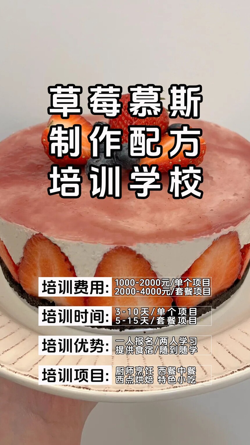 ݮĽ˹ѵ(ݮĽ˹⼼ѵ)