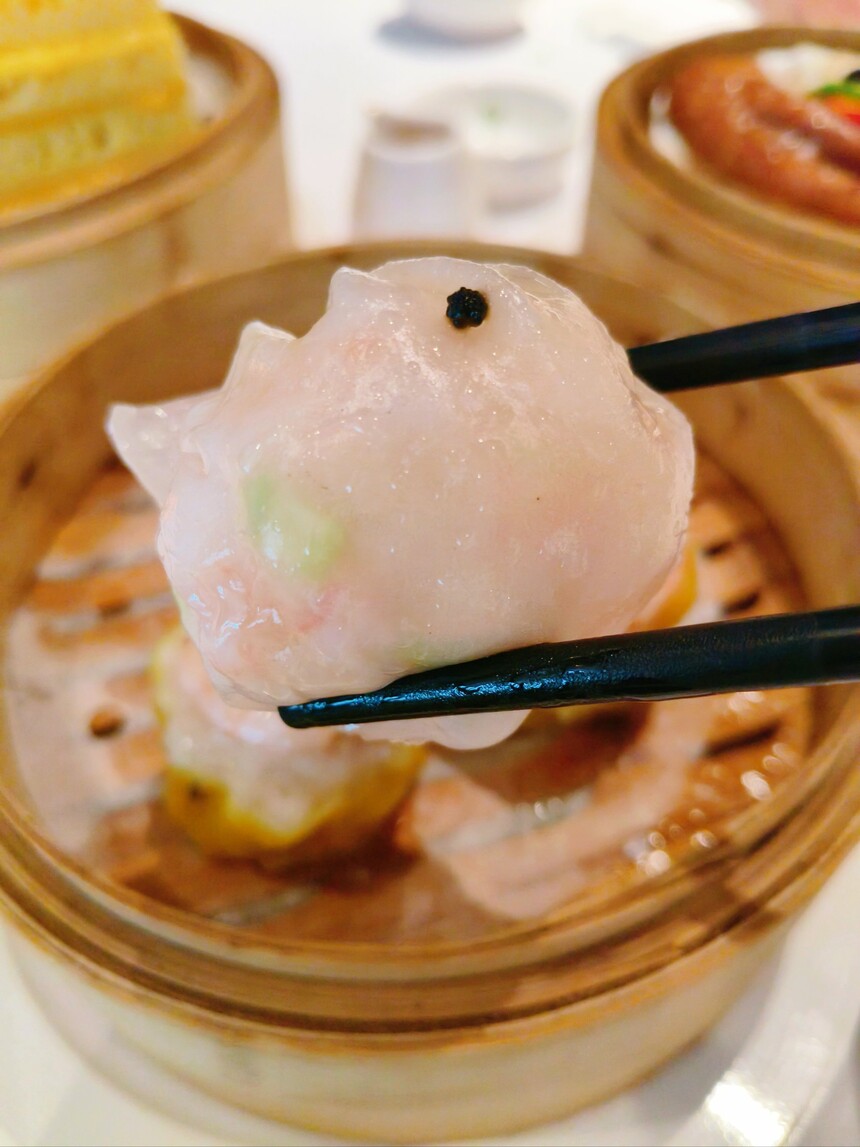 㶫ѵ 㶫ѵ 㶫ѵѧѶǮ