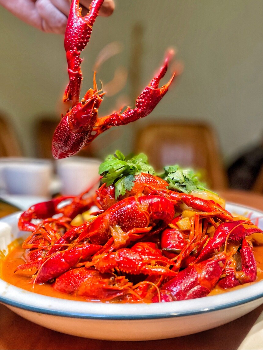 泡菜小龙虾制作步骤 泡菜小龙虾制作配方 泡菜小龙虾制作方法 泡菜小龙虾制作教程 泡菜小龙虾制作技巧 泡菜小龙虾制作步骤 泡菜小龙虾制作配方 泡菜小龙虾制作方法 泡菜小龙虾制作教程 泡菜小龙虾制作技巧