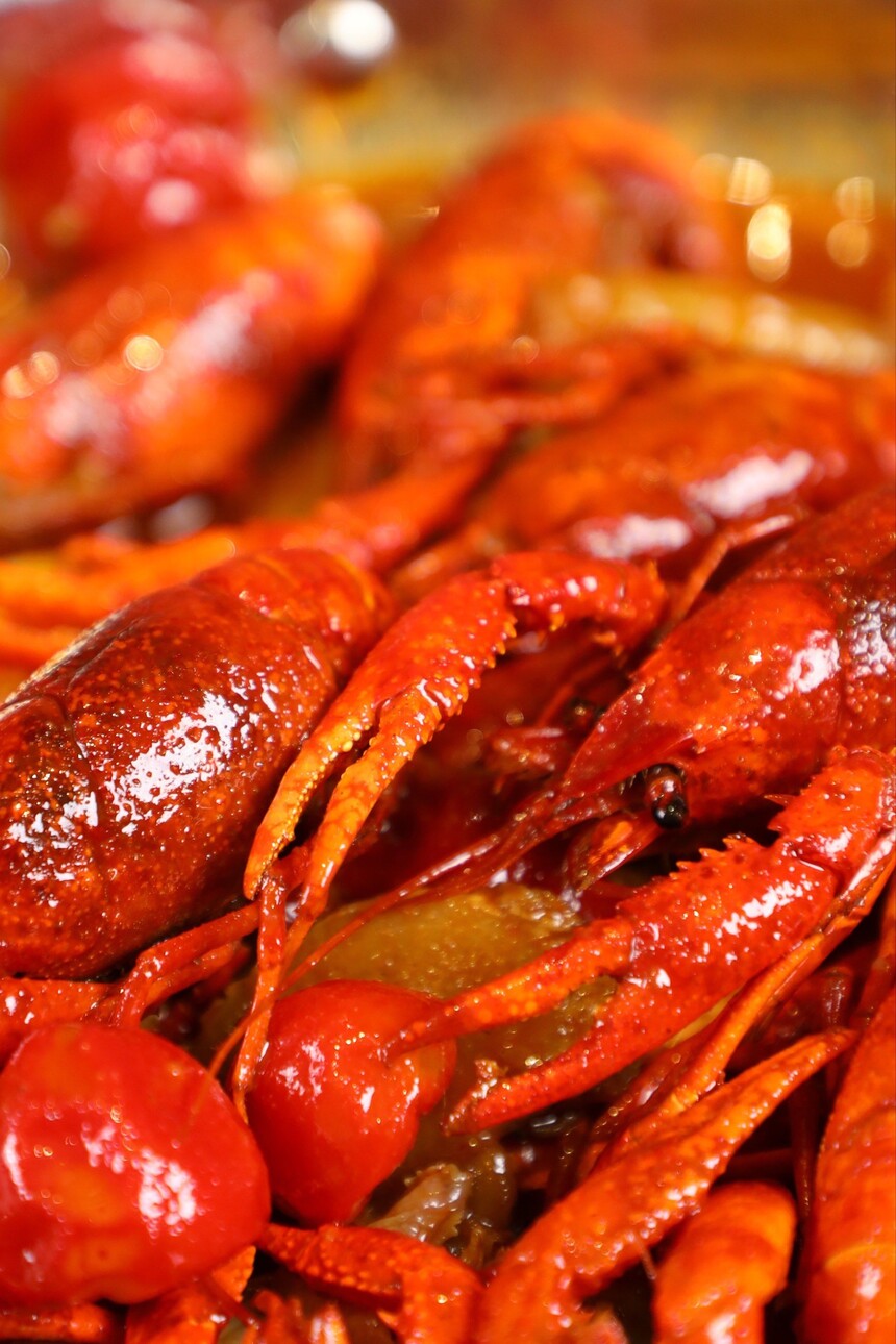 泡菜小龙虾制作步骤 泡菜小龙虾制作配方 泡菜小龙虾制作方法 泡菜小龙虾制作教程 泡菜小龙虾制作技巧 泡菜小龙虾制作步骤 泡菜小龙虾制作配方 泡菜小龙虾制作方法 泡菜小龙虾制作教程 泡菜小龙虾制作技巧