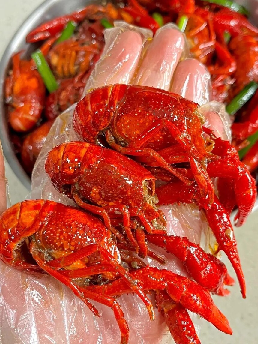 ����С��Ϻ�������� ����С��Ϻ�����䷽ ����С��Ϻ�������� ����С��Ϻ�����̳� ����С��Ϻ��������