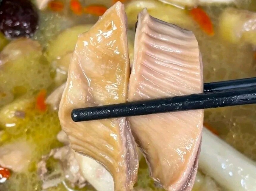 �㶫���������Ҽ��������� �㶫���������Ҽ������䷽ �㶫���������Ҽ��������� �㶫���������Ҽ������̳� �㶫���������Ҽ���������