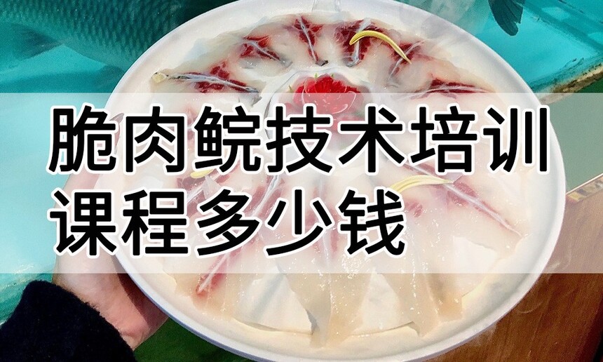 �����鼼����ѵ�γ�(�����鼼����ѵ����)