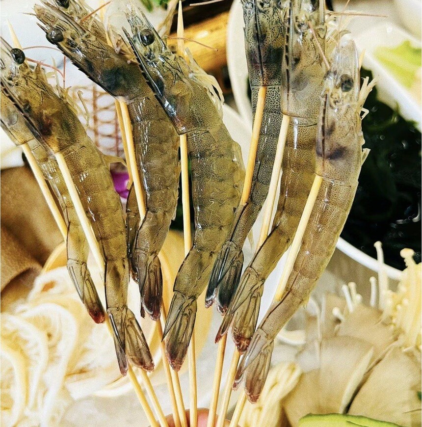 ��ζ����������� ��ζ��������䷽ ��ζ����������� ��ζ��������̳� ��ζ�����������