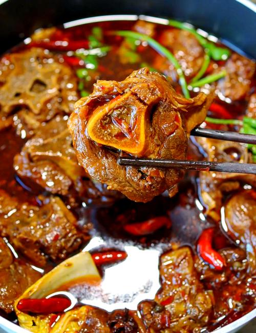 ��ۺ�����Ы����ѵ ��ۺ�����Ы����ѵ�� ��ۺ�����Ы����ѵ���� ��ۺ�����Ы����ѵѧУ