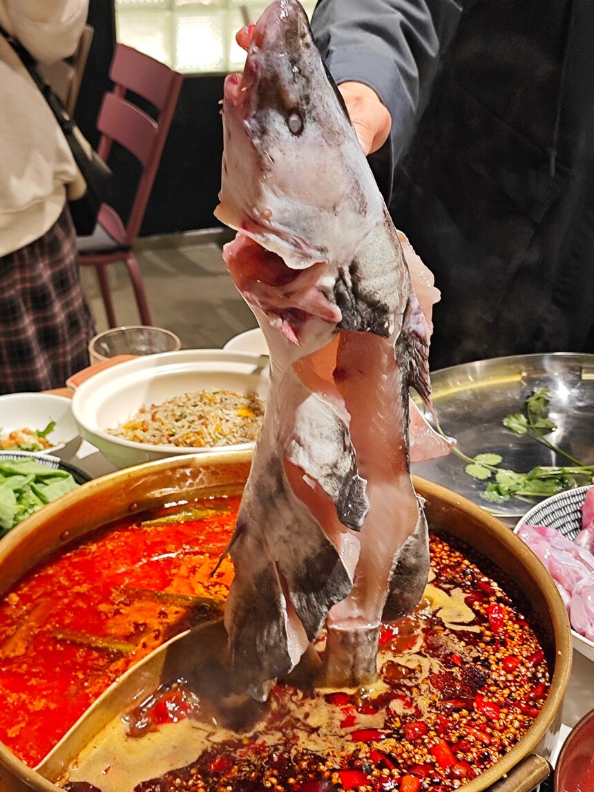 ���������������� �������������䷽ ���������������� �������������̳� ����������������