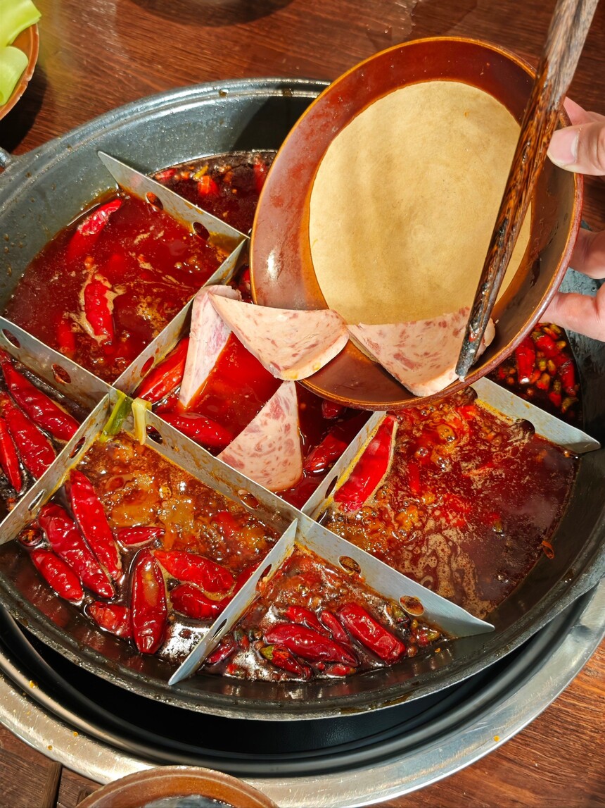 �����������ѵ �����������ѵ�� �����������ѵ���� �����������ѵѧУ