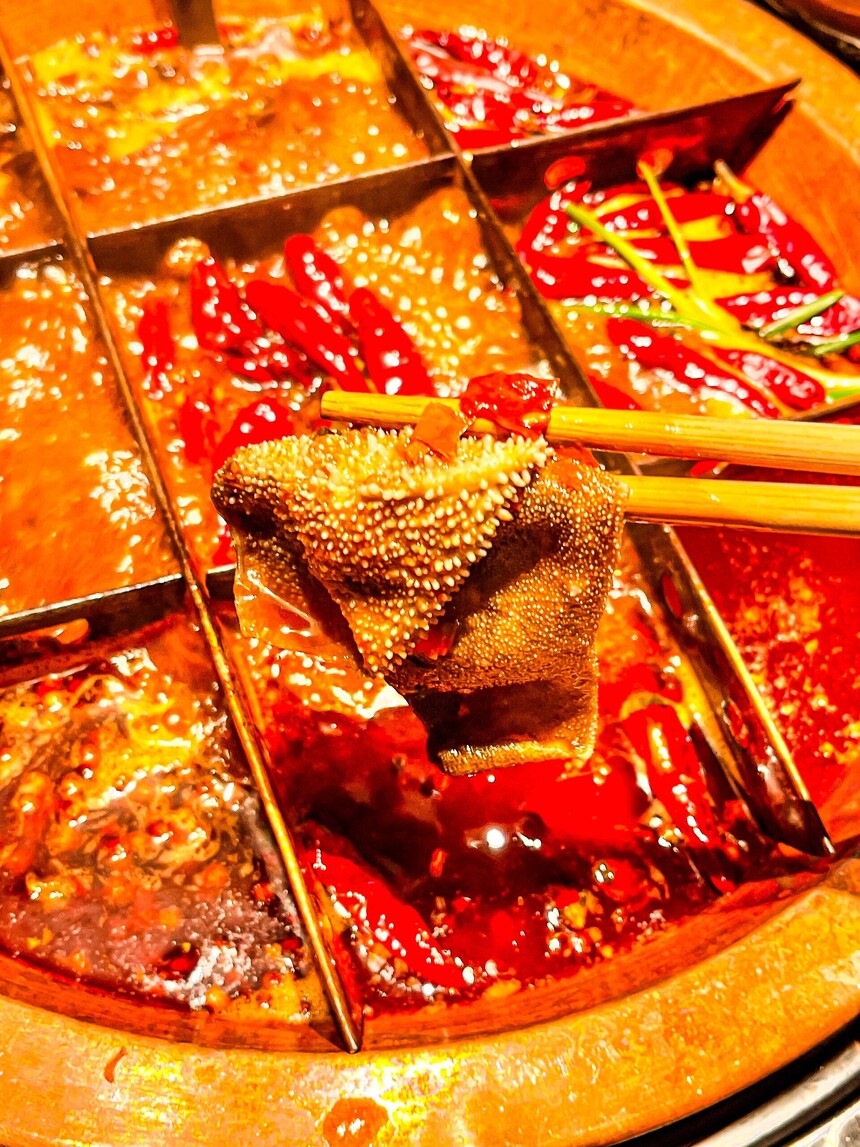 �����������ѵ �����������ѵ�� �����������ѵ���� �����������ѵѧУ