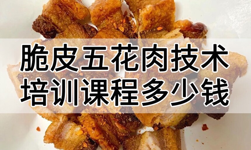 ��Ƥ�廨�⼼����ѵ�γ�(��Ƥ�廨�⼼����ѵ����)