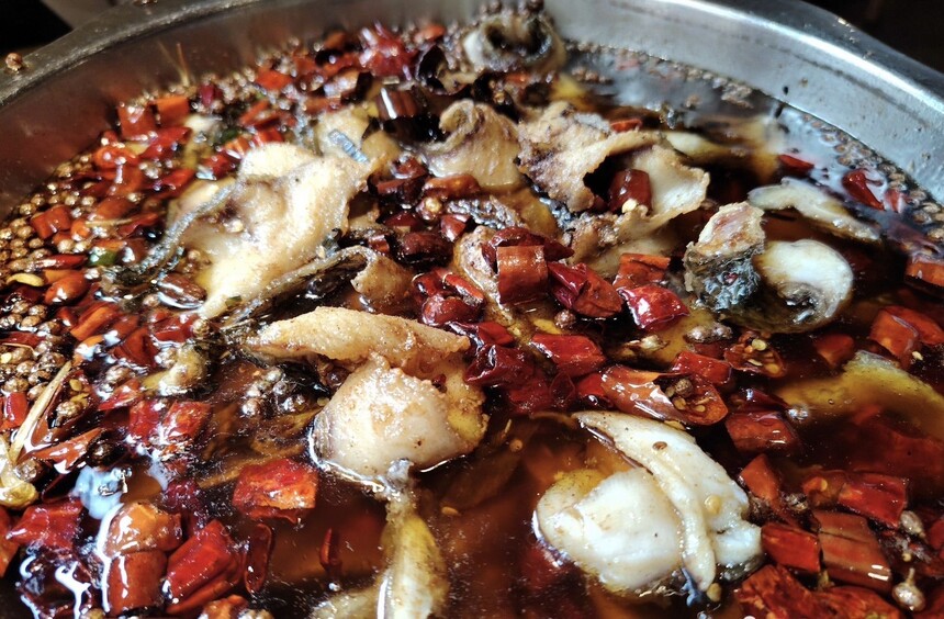 香港沸腾鱼火锅培训 香港沸腾鱼火锅培训班 香港沸腾鱼火锅培训机构 香港沸腾鱼火锅培训学校 香港沸腾鱼火锅培训 香港沸腾鱼火锅培训班 香港沸腾鱼火锅培训机构 香港沸腾鱼火锅培训学校