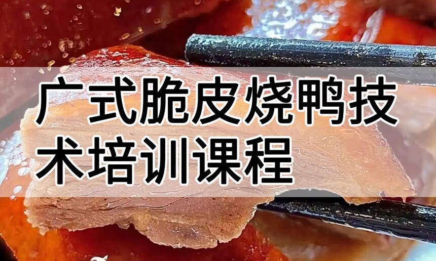 ��ʽ��Ƥ��Ѽ������ѵ�γ�(��ʽ��Ƥ��Ѽ������ѵ����)