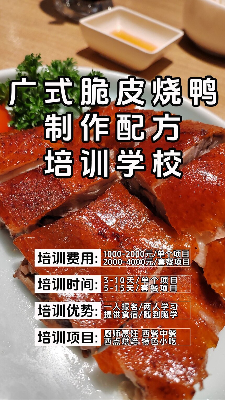 ��ʽ��Ƥ��Ѽ������ѵ�γ�(��ʽ��Ƥ��Ѽ������ѵ����)