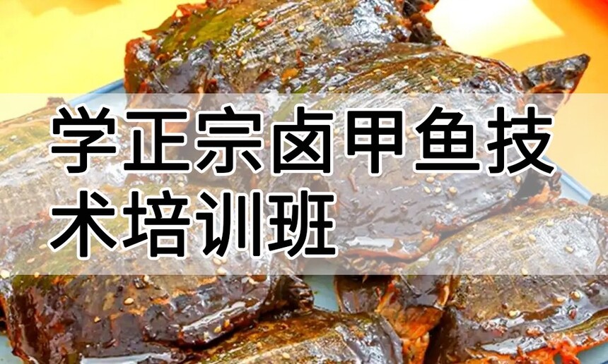 学正宗卤甲鱼技术培训班怎么样 学正宗卤甲鱼技术培训班学费多少钱 学正宗卤甲鱼技术培训班怎么样 学正宗卤甲鱼技术培训班学费多少钱