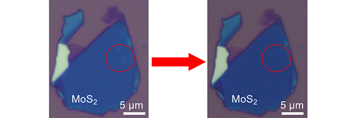 άӦýͼ1.jpg