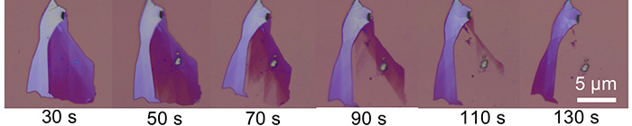 άӦýͼ-6.jpg