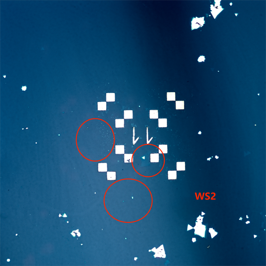 WS2_2(1).png
