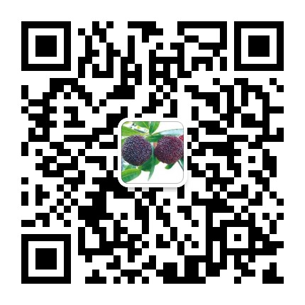 1586583992709525.jpg