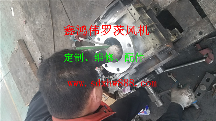 20190423_172640_.jpg