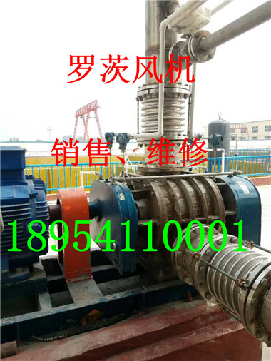mmexport1506177261542.jpg