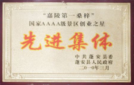 1587016568488838.jpg