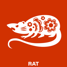 a1.png