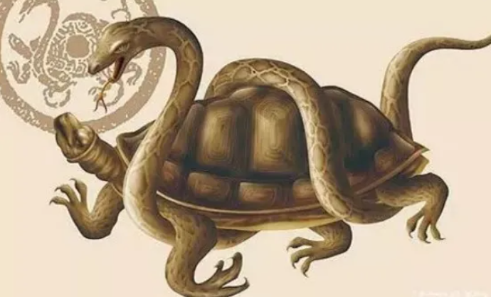 1765342950523337.png QQ20251210-130200.png