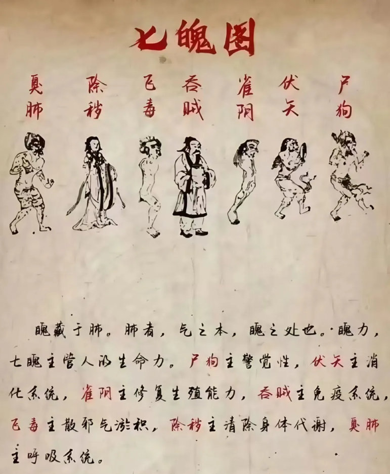 1766620421926818.png QQ20251225-000023.png