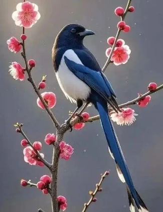 1779809674990971.png 微信截图_20260526233254.png