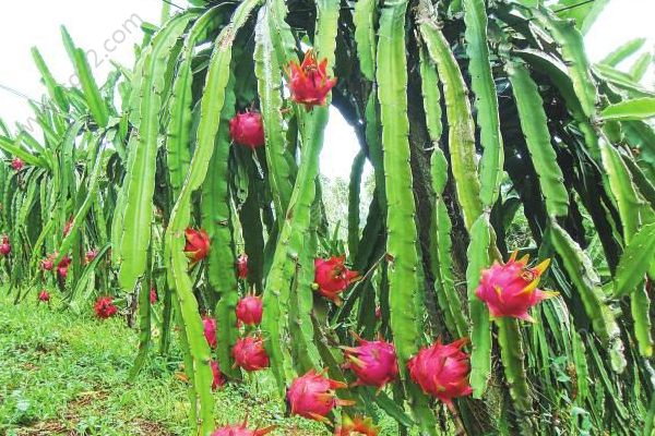 1587365428815382.png 21-3.png